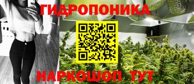 молекула духа Ливны