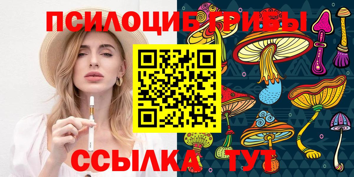 Псилоцибиновые грибы Cubensis Вологда