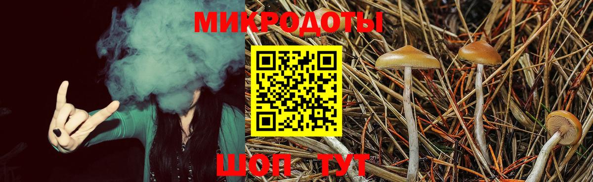 Псилоцибиновые грибы мицелий  Вход с VPN  Вологда 
